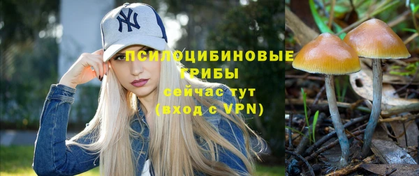 apvp Верея